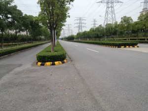 SuzhouStreet